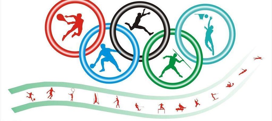 体育的深度与广度：2024奋斗之路的启示m6米乐入口